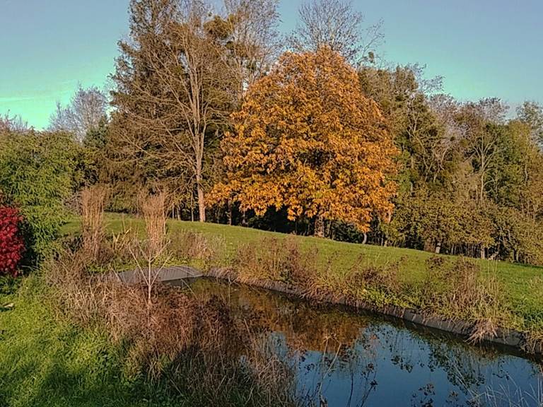 bassin derrière la maison