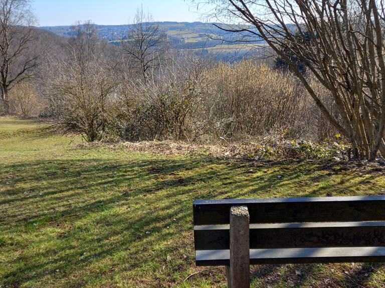 promenade dans le parc