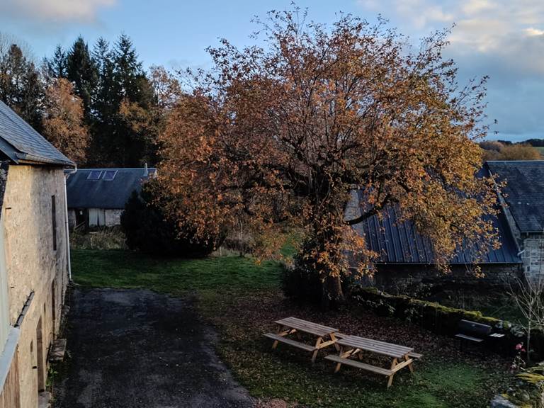 IMG-20251116-WA0015-gallery