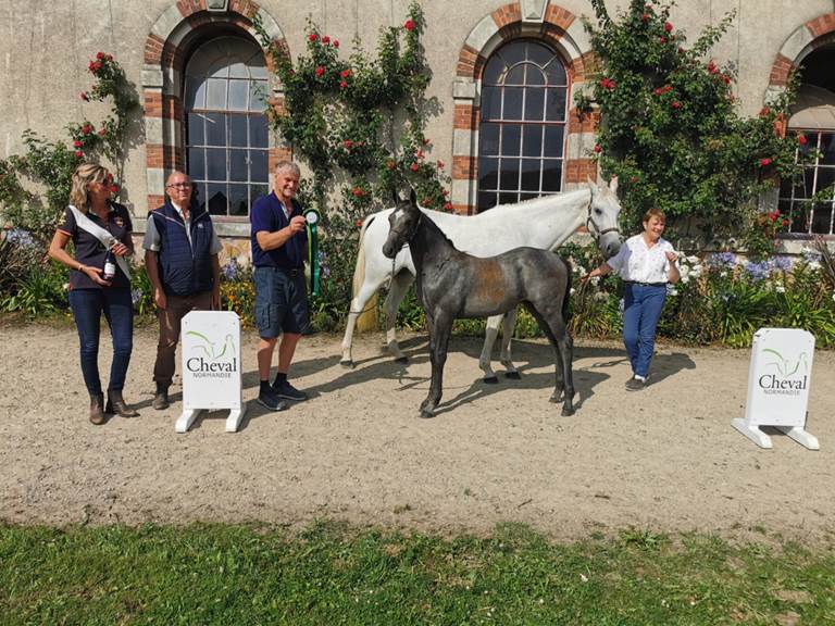 avant de remporter le concours des foals à Saint-Lô