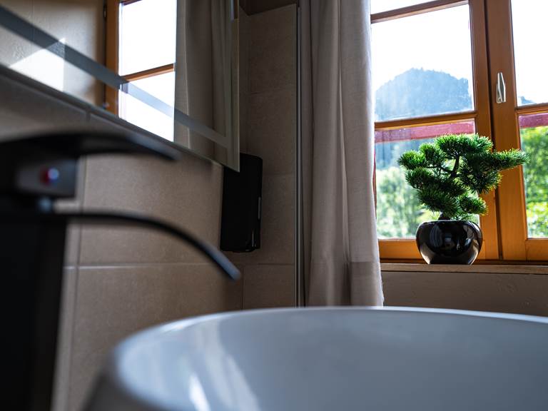 salle de bains privative vue montagne