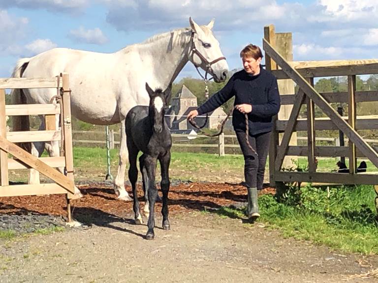 Pirouette Pierrefitte , les premiers pas ...