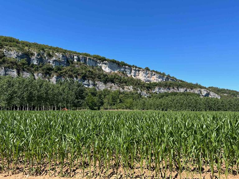 Environnement: champs et falaises