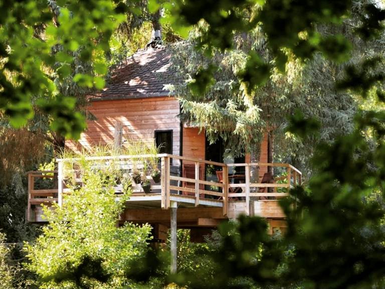 Vue sur la cabane dans les arbres