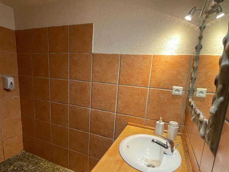 chambre Hivernage - salle de bain douche