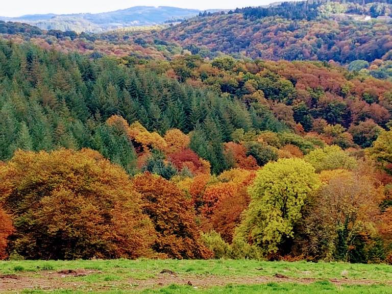 couleurs d'automne devant Le Ranch des Lacs