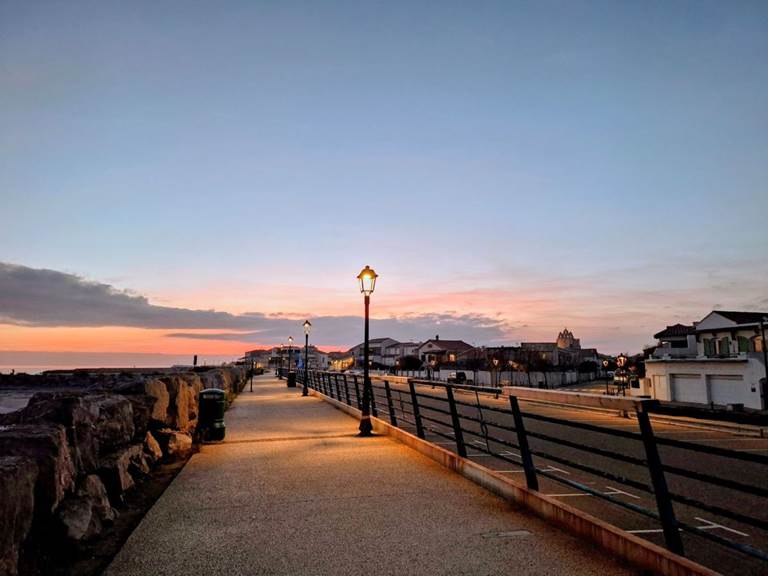 8f919e86-9ad4-4dad-9e57-e62a0d37b3c7~1