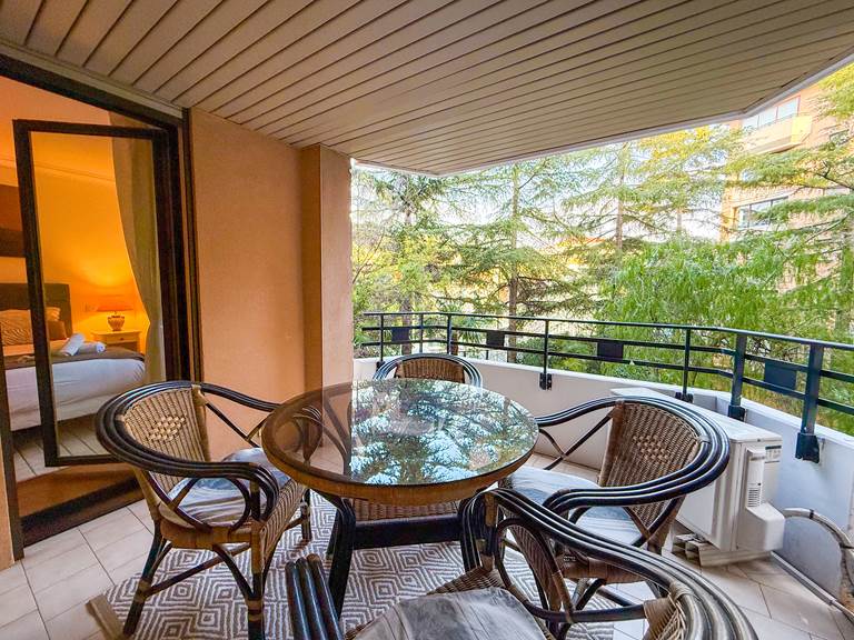 ID210 CANNES LORRAINE TERRASSE