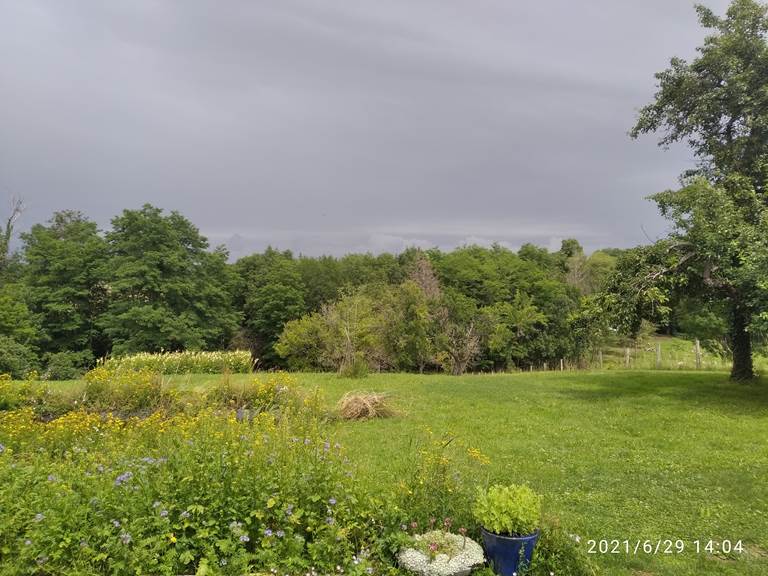 jardin derrière la maison