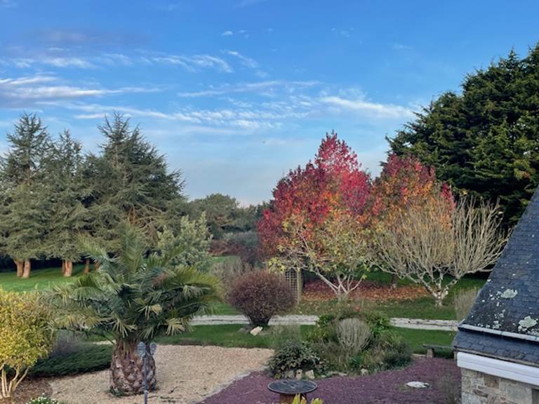 Grand parc couleurs d'automne