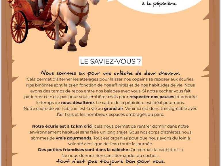 Balade en calèche