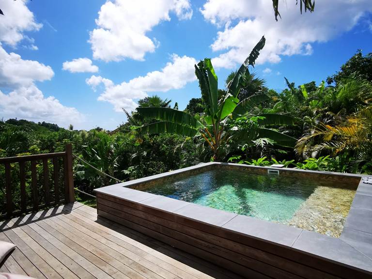 les-jardins-des-balisiers-guadeloupe-petit-dejeuner-terrasse gite