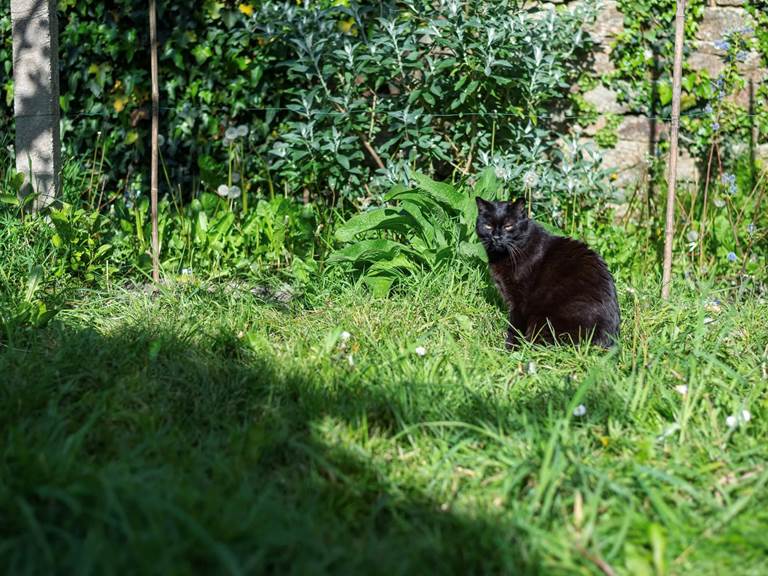 chambre-hotes-riec-sur-belon-finistere-sud-bretagne-cornouailles-bed-and-breakfast-visite-pont-aven-sentier-cotier-randonnée-jardin-centre-bourg