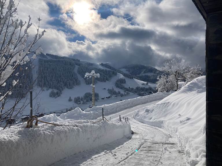 chemin d'accès au chalet
