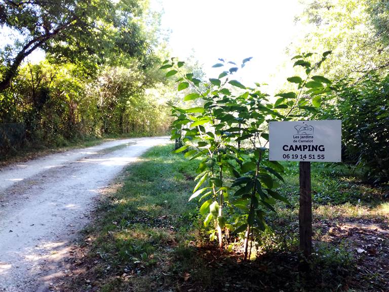 Chemin d'accès du camping