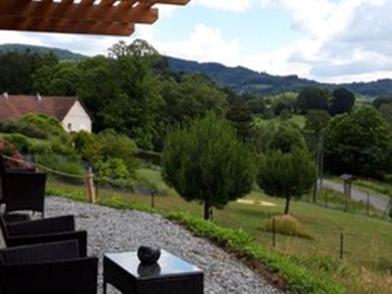 Chalet châtaignier