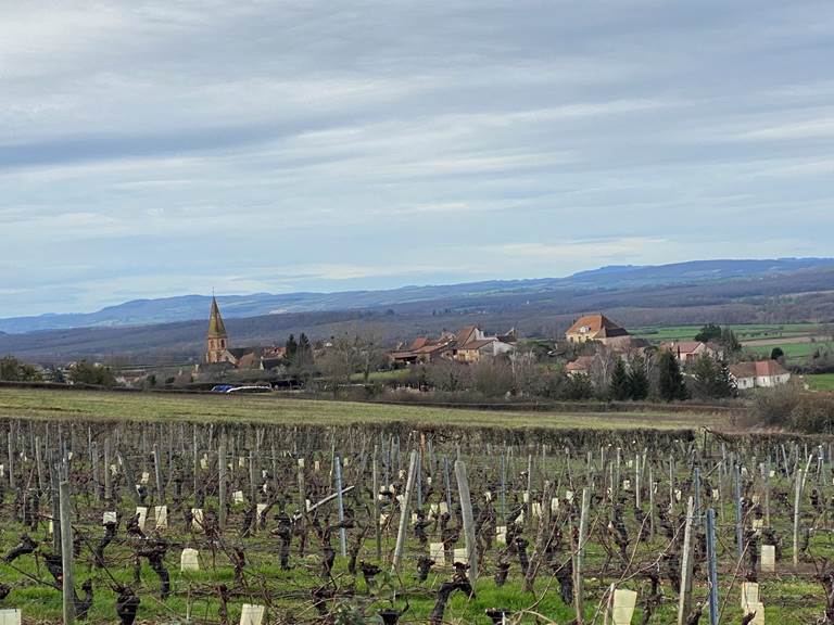 Gite-Etrigny-Lacourquinousrelie-vue village-Etrigny _view village-Etrigny-gallery