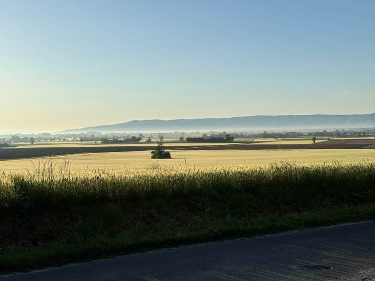 vue-panoramique-domaine-location-lauragaise