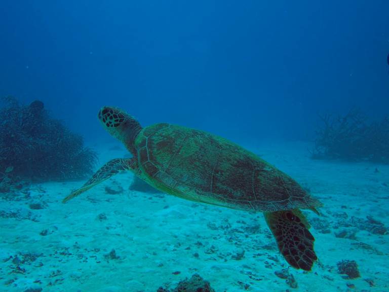 18891445_10155101613936201_271795510075498571_o-gallery