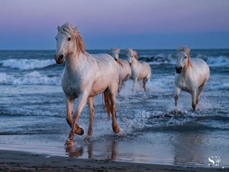 484808899_1292354942614113_6822166456498996507_n