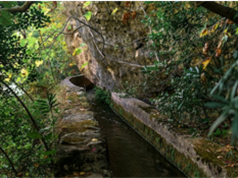 Image3
