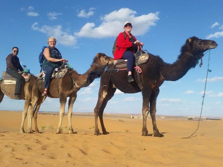 5e3bbe19-84e7-4a16-a717-54e9dc625921