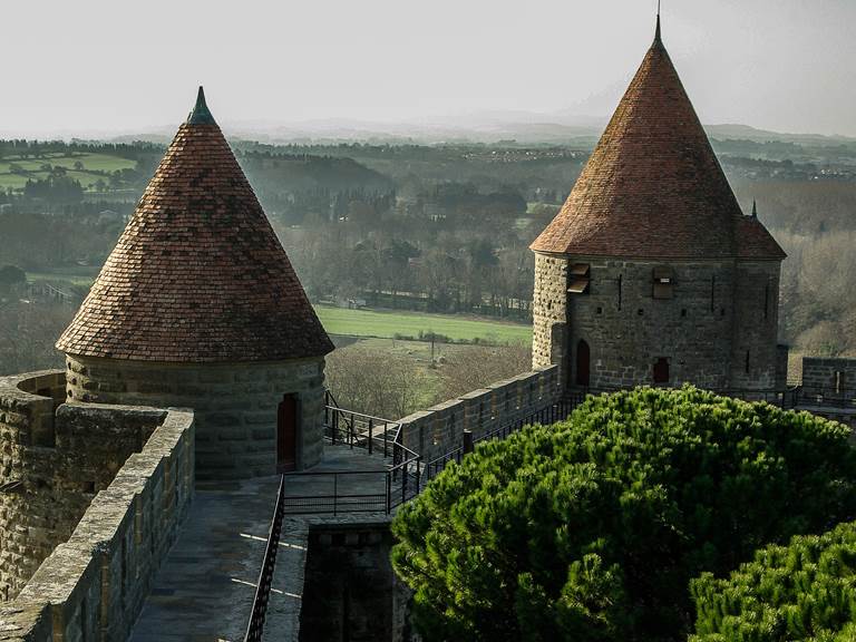 Carcassonne_entre vignes