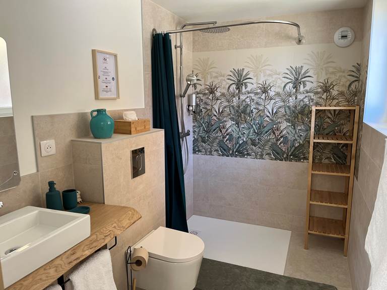 Chambre MAPITI - salle de douche PMR