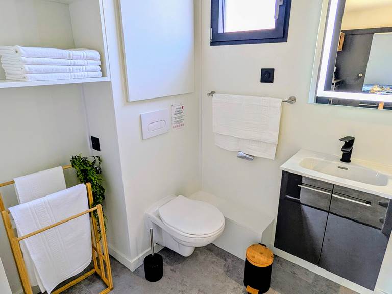 salle-de-bains-toilettes-avec-linge-fourni
