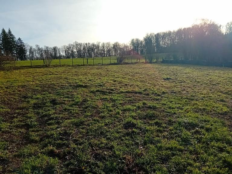 Vue jardin Gîte Koala