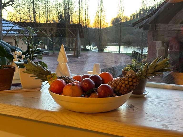 Salle de vie vue étang