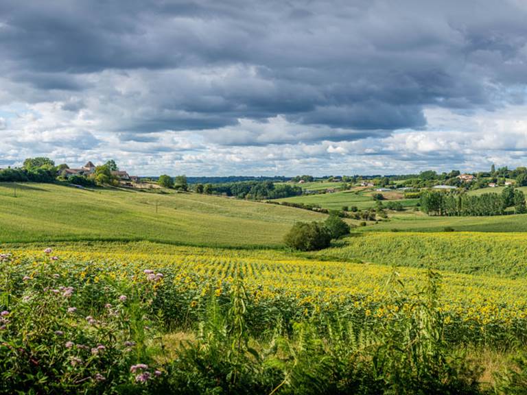 Les chemins de Berdis Maison d'hôte Chalosse Landes Vue 1
