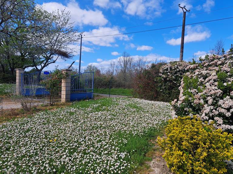 Jardin au printemps