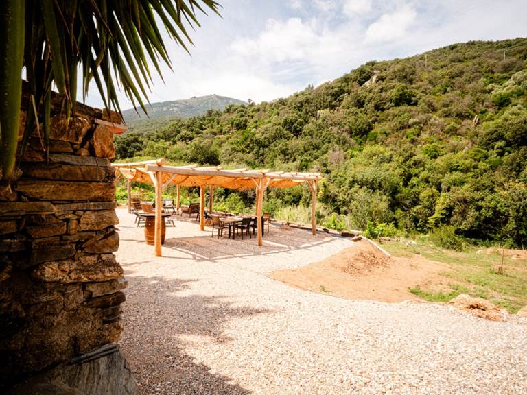 Pergola dans jardin
