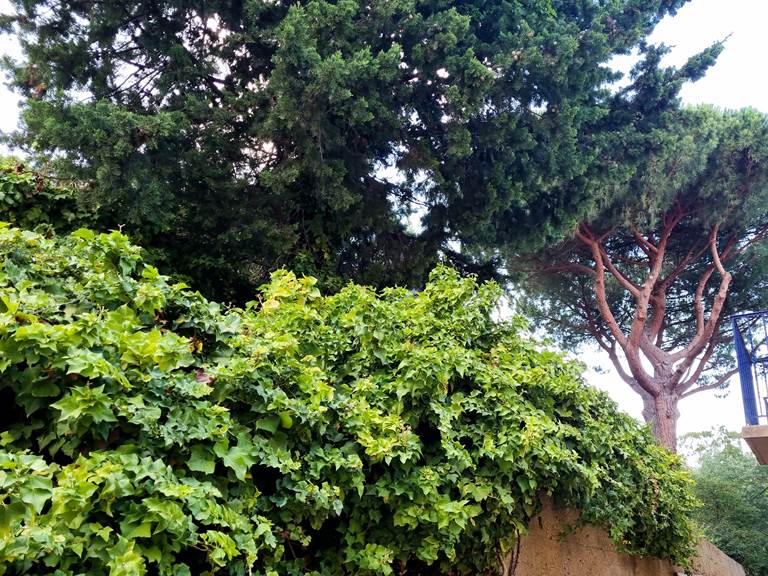 chambre sur jardin