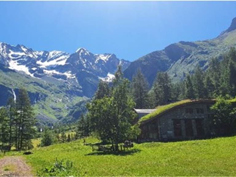 Image2