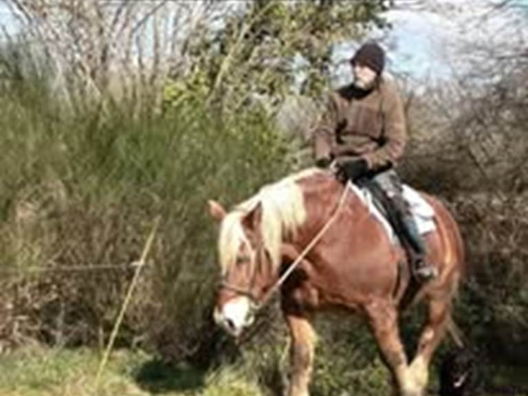 482137792_18243760519304188_8626104209406469123_n