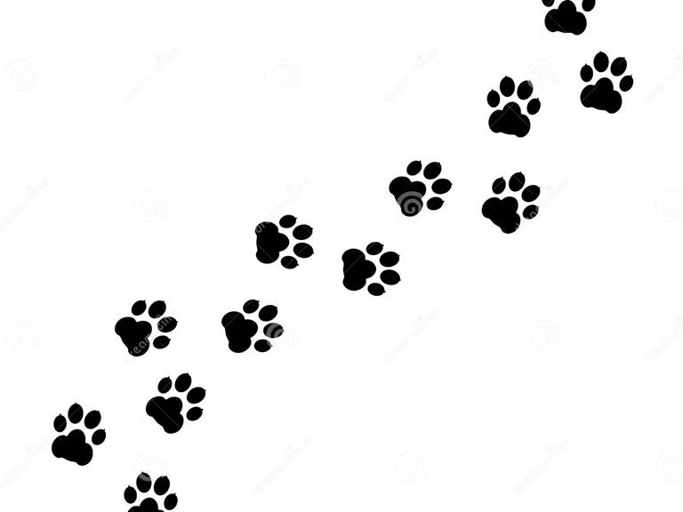 picto pattes