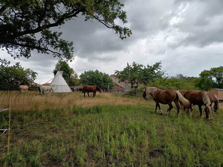 fec02f6a-1978-4a95-b24e-42a84c6beaff