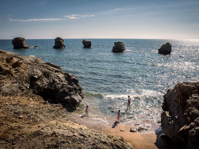5 pineaux au Gite du Petit Poucet