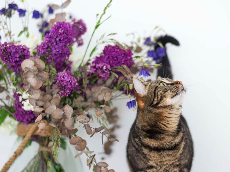 chambre-hotes-riec-sur-belon-finistere-sud-bretagne-cornouailles-bed-and-breakfast-visite-pont-aven-sentier-cotier-randonnée-jardin-centre-bourg