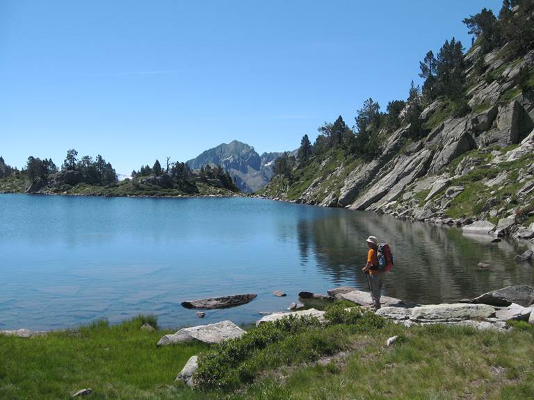 En pleine contemplation