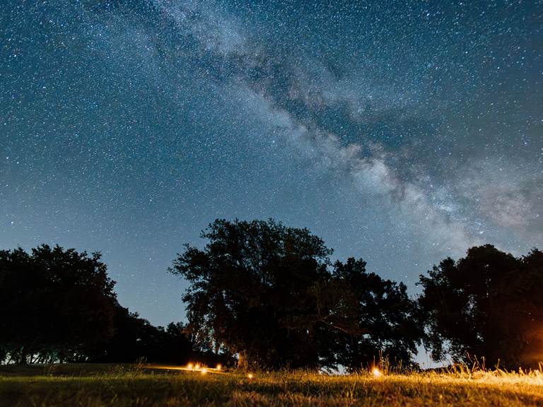 Nuit étoilée aux Bulles Perchées
