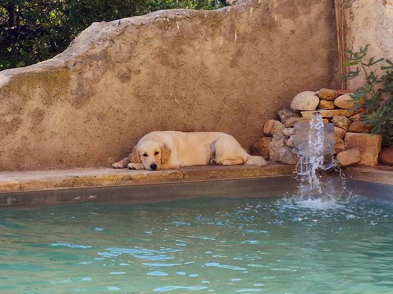 piscine 6x8