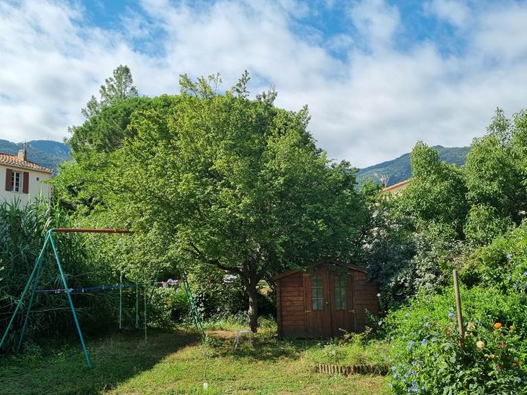 Le jardin, le prunier, le Puig Neulós (1257m alt.)