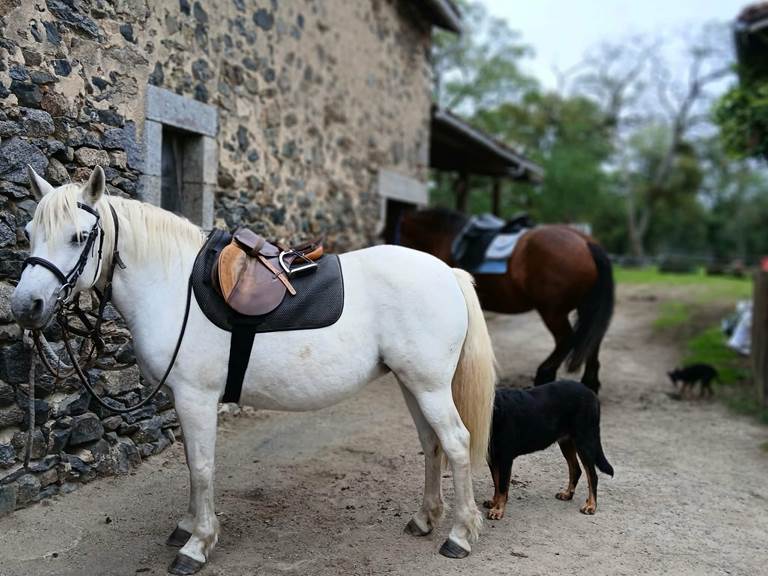 640a0226-e973-4671-8c91-a590015f46e2