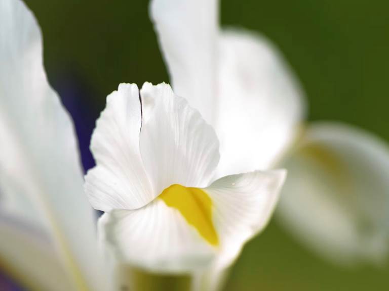 chambre-hotes-riec-sur-belon-finistere-sud-bretagne-cornouailles-bed-and-breakfast-visite-pont-aven-sentier-cotier-randonnée-jardin-centre-bourg