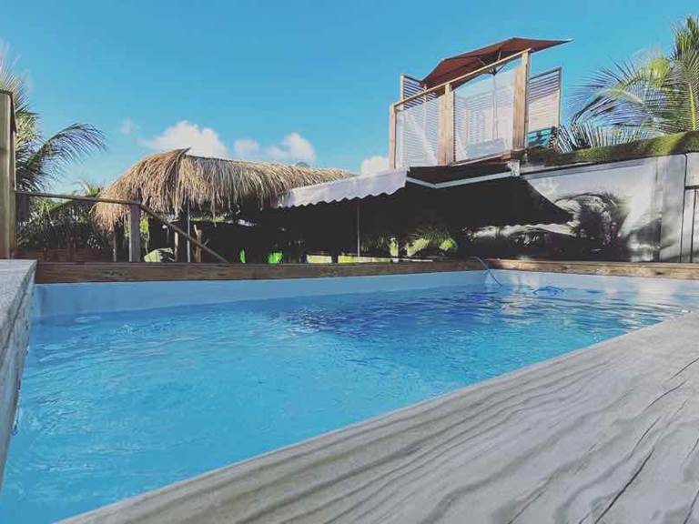 Piscine privée palmbus