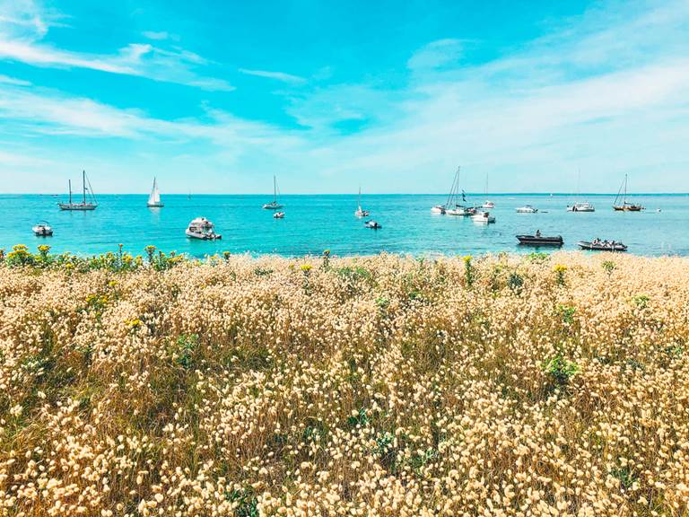 Île de Penfret les Glénan Fouesnant