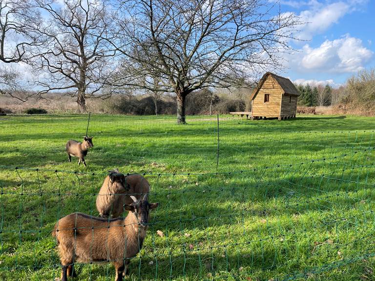 Cotin avec ses partenaires